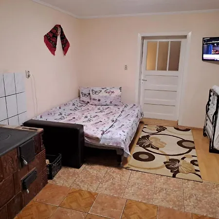 Casa Argentina Cartisoara