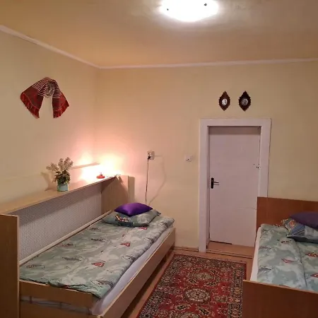Casa Argentina Cartisoara